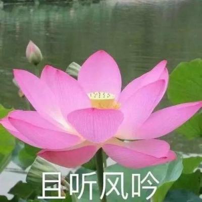 江苏苏州：逛多彩庙会 品江南文化